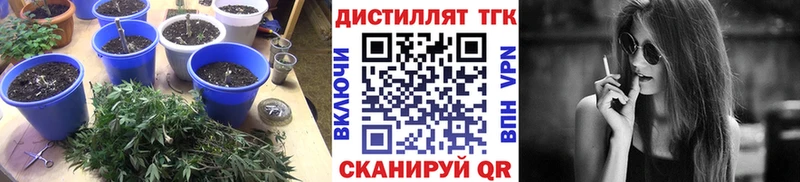 Дистиллят ТГК вейп  наркота  Алагир 